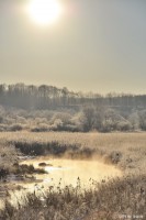 /album/%e3%83%95%e3%82%a9%e3%83%88%e3%82%ae%e3%83%a3%e3%83%a9%e3%83%aa%e3%83%bc/%e6%b0%97%e5%b5%90%e3%81%ae%e6%9c%9d%e3%80%80%e3%80%80%ef%bd%9e%e3%82%b9%e3%82%b9%e3%82%ad%e9%87%8e%e3%81%af%e9%bb%84%e9%87%91%e8%89%b2%e3%81%ab%ef%bd%9e-jpg/